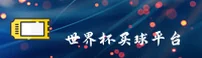 使用指南与常见问题